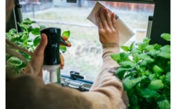 MikiGREEN Öko.Schwamm.Tücher 2er-Pack 9 MikiGREEN Öko.Schwamm.Tücher 2er-Pack -NIGR Camping Geschaft 574939 3927991